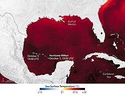América y su fracaso en la Riviera Maya gracias al Huracán Wilma de 2005