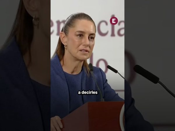 Avances y retrocesos en primer año de Sheinbaum: Integralia