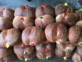 Caritas de Miahuatlán, tradición oaxaqueña que da vida al pan de muerto