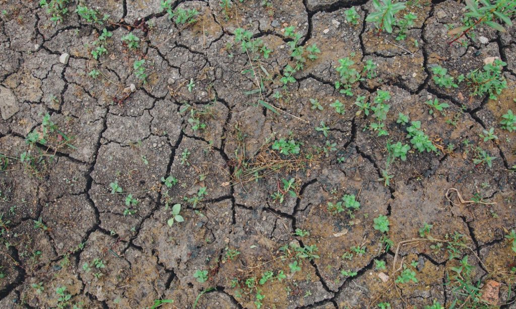 El Antropoceno y la gran orfandad del relato