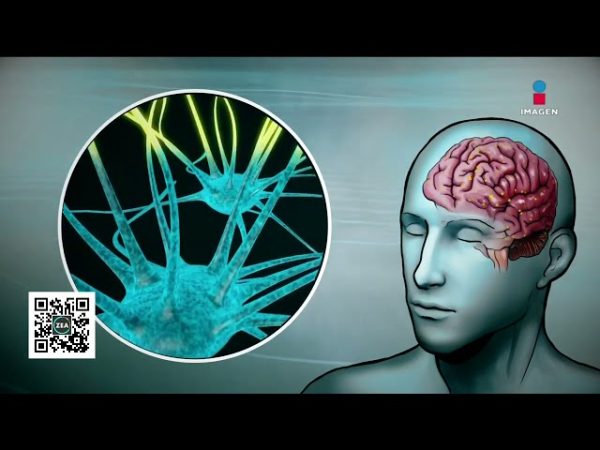 Enfermedades mentales en adolescentes: esto recomienda la UNAM para una intervención oportuna