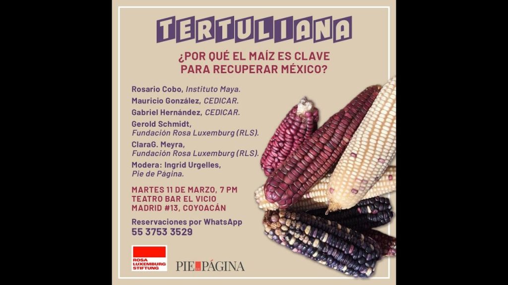 La potencia de escuchar: el humanismo radical en la fotografía de Mayra Martell