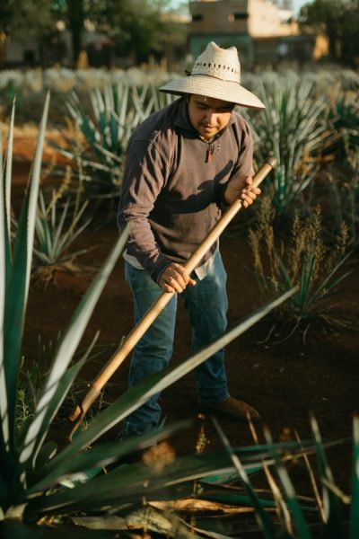 Lo Mejor de Jalisco 2025, la fiesta grande del turismo en el estado