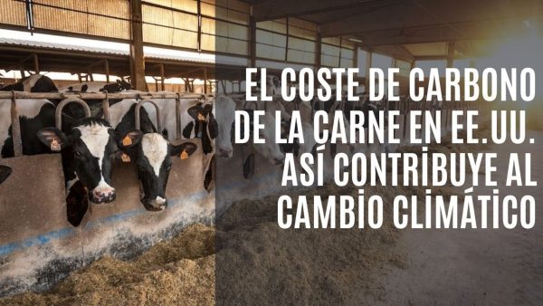 Nuevo estudio afirma que la carne que se consume en ciudades de EE. UU. emite más CO2 que todo el Reino Unido o Italia: 329 millones de toneladas al año