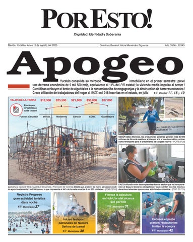¿Se termina proyecto de Gago? Pachuca hunde a los Rayos del Necaxa a domicilio