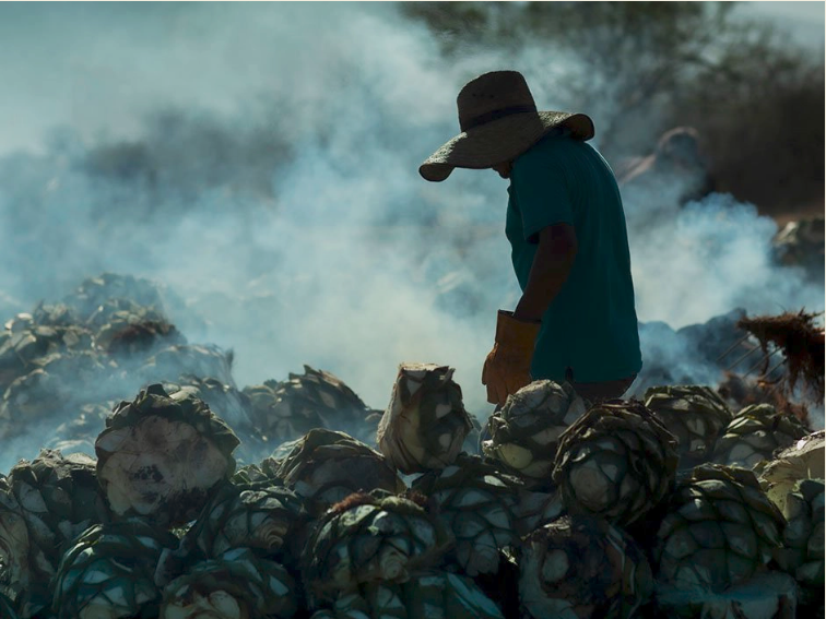 Tinas de mezcal, el corazón artesanal donde fermenta la tradición