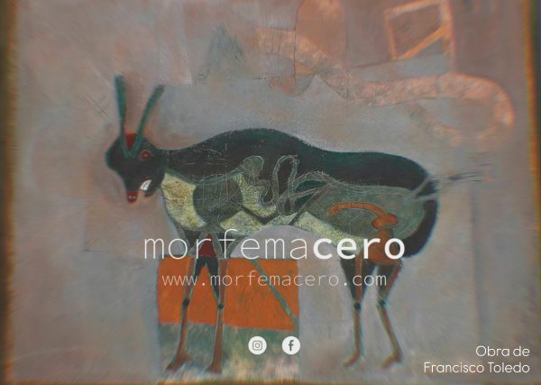 Una tarde que llovía