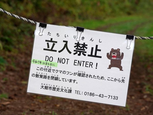Ataques de osos aterrorizan Japón; van 13 personas muertas por feroces ataques