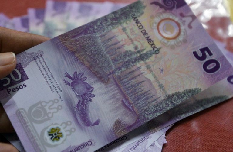 Billete de 50 pesos, ¿vale más fuera de circulación que en la cartera