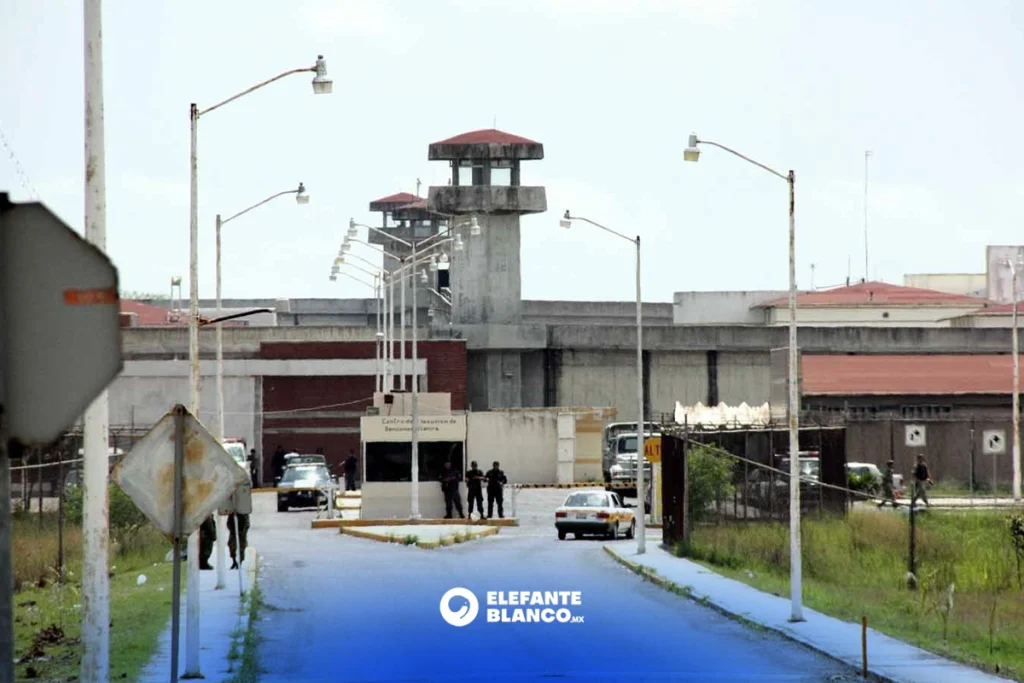 Bloquea líneas de extorsión desde penales de Altamira y Matamoros - Elefante Blanco