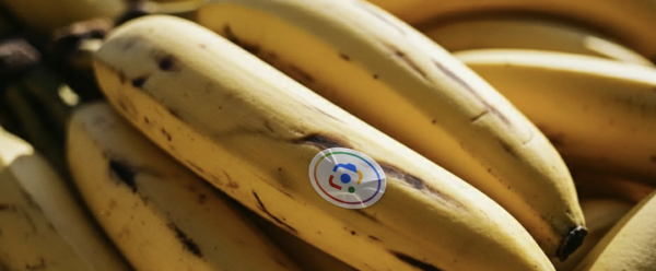 Cómo editar imágenes con Nano Banana en el Buscador