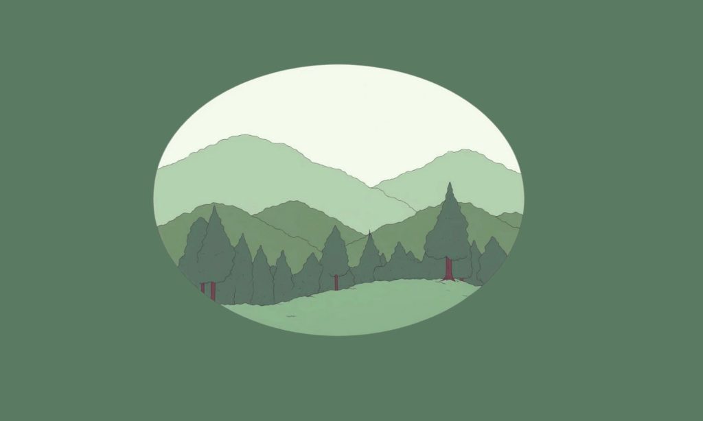 COP30: por qué debemos ser cautos ante el fondo de 125.000 millones de dólares para conservar bosques tropicales