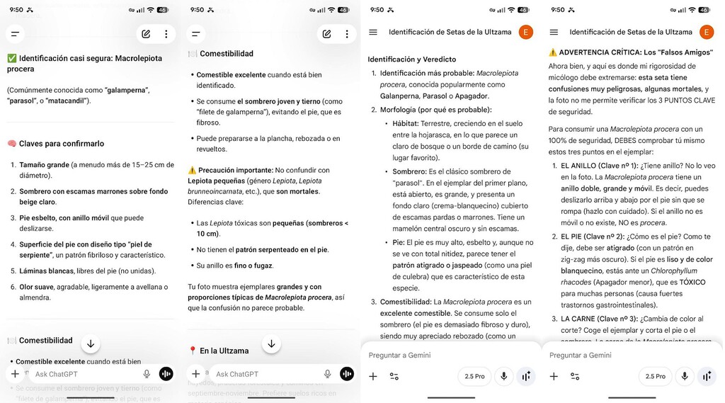 Cuando voy a coger setas siempre pregunto a mi padre las dudas. Este año lo he puesto a prueba frente a Gemini y ChatGPT