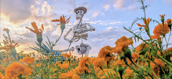 El Valle de las Catrinas a través del lente del Google Pixel 10 Pro XL