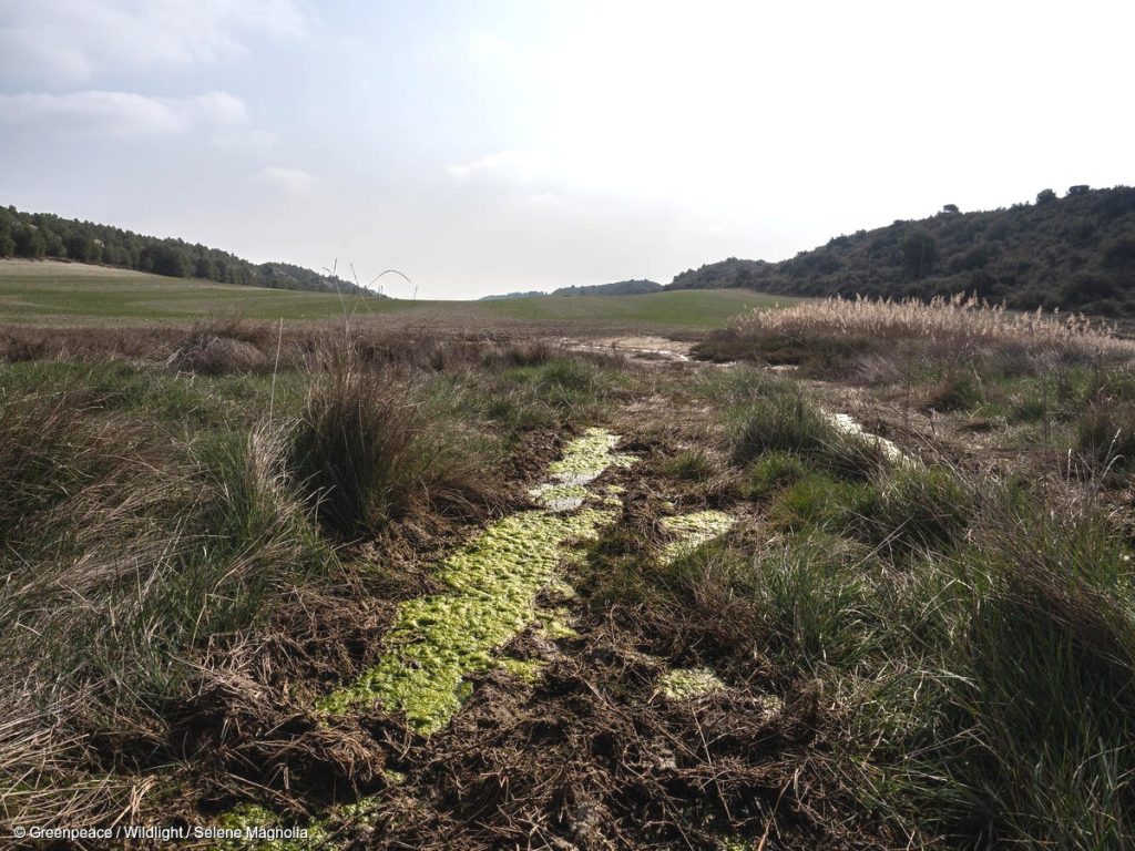 Hacia una mayor transparencia en la gestión de los sistemas hídricos locales interconectados