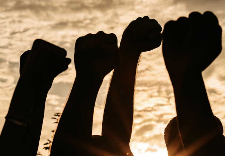 La importancia de tejer redes