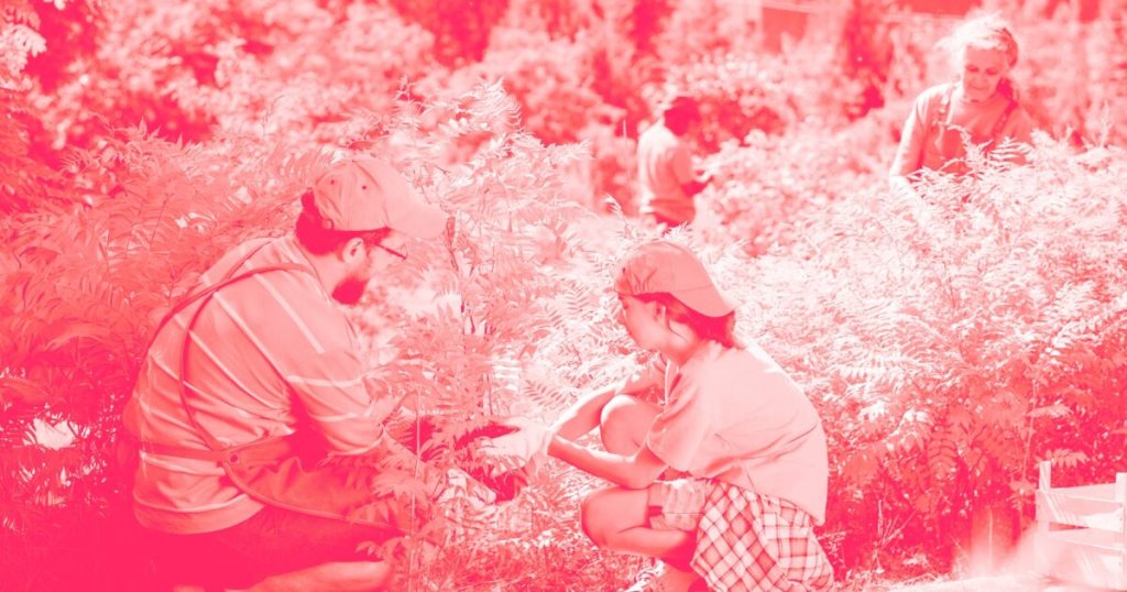 Mi pareja ama ayudar a otros – Desearía que se tomara un descanso