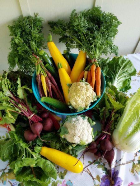 Ofertas irresistibles del Martes de Frescura y Miércoles del Campo a precios bajos en frutas, verduras y carnes para llenar tu alacena 4 y 5 de noviembre