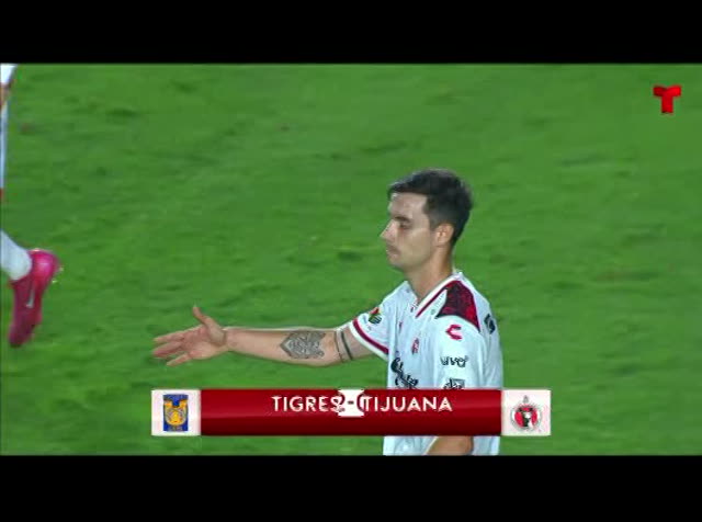 ¡Se acabó! Fernando Gago con un pie y medio fuera de Necaxa tras horrible torneo Apertura 2025
