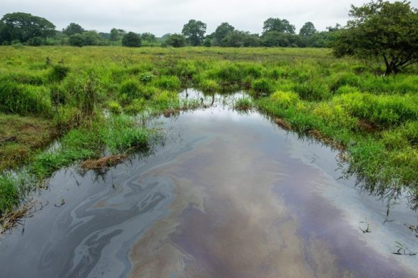 Sheinbaum frenó a Conagua y mineras verter desechos en ríos