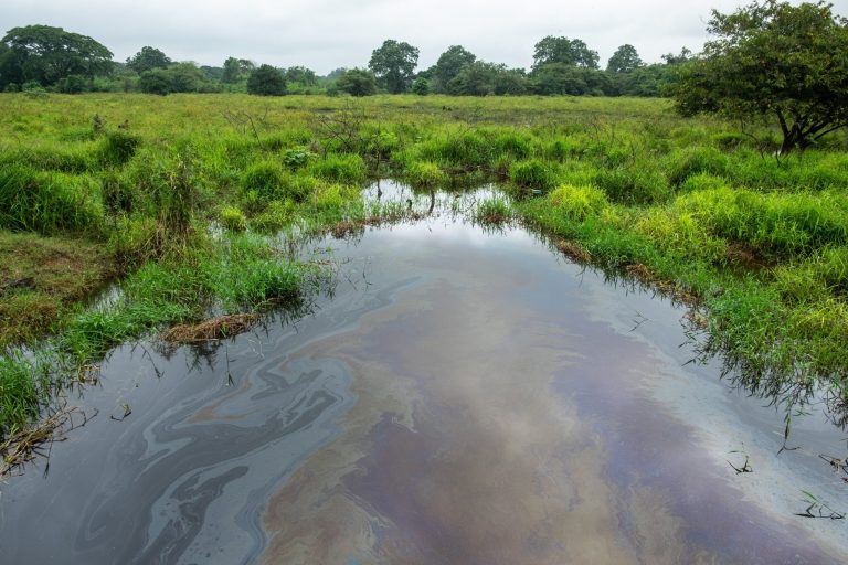 Sheinbaum frenó a Conagua y mineras verter desechos en ríos