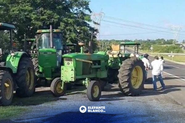 Sorgueros en Tamaulipas siguen en lucha pese a acuerdos nacionales