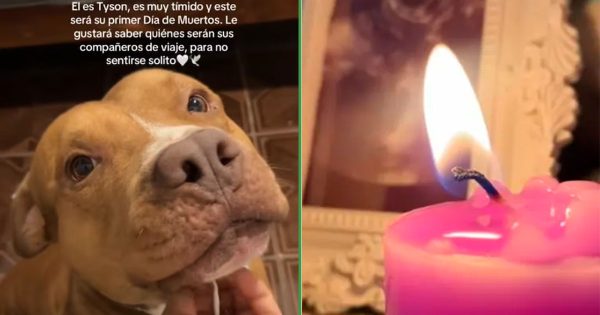 Te explicamos en qué consiste el trend de “Es su primer Día de Muertos”