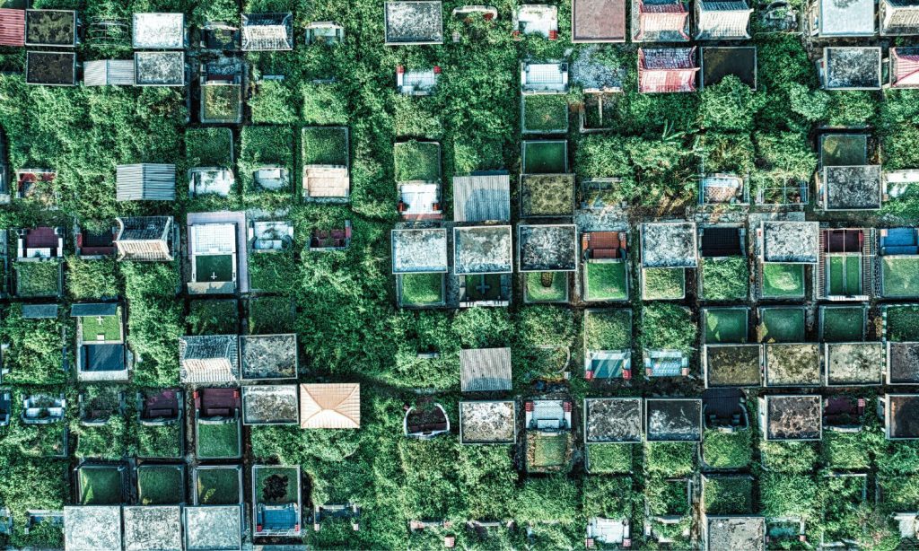 Europa se queda sin zonas verdes