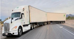 Golpe al narcotráfico en Sonora: Incautan 400 kilogramos de cocaína ocultos en cargamento de pescado