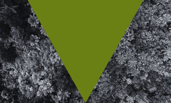 ¿Hablamos de los costes de la no sostenibilidad?