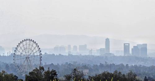 Ligan contaminación por ozono con males neurodegenerativos