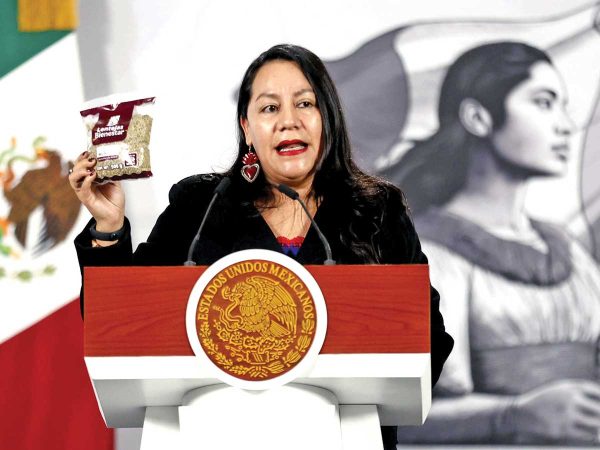 Plan de pacificación: Mejora Michoacán en seguridad y educación