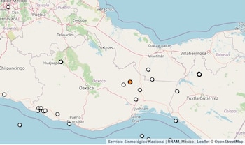 Salvia divinorum: la planta alucinógena originaria de Oaxaca que mantiene en alerta a la DEA