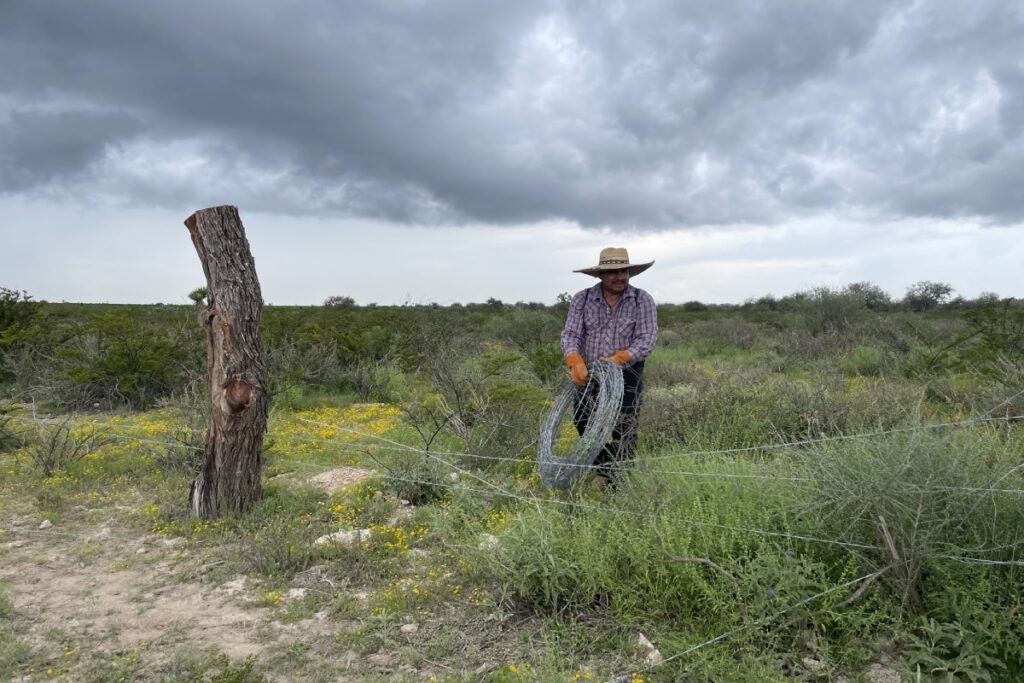 Aguas negras, cultivos muertos: la deuda con  San Lucas Atzala