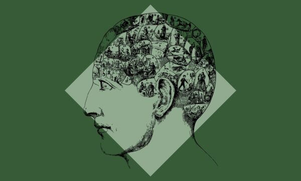 El libre albedrío no es una ilusión: es una conquista evolutiva