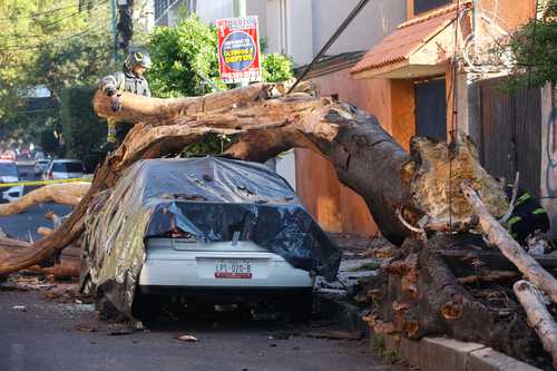 Evento normal por desplazamiento de placas tectónicas, señala experto