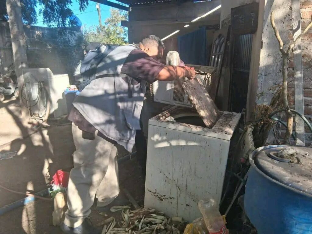 Salud intensifica acciones contra la rickettsia en Sonora