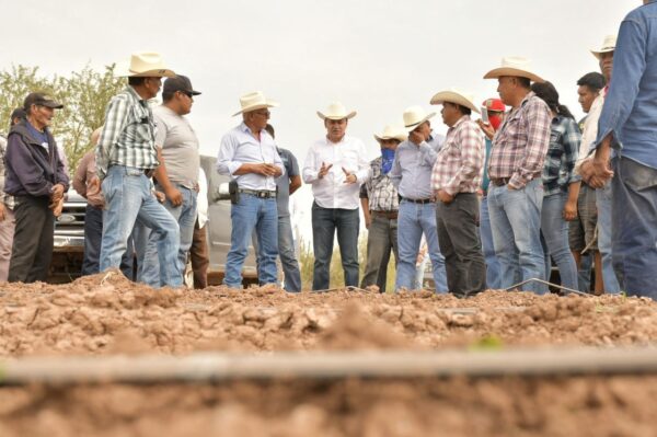 Se fortalece campo sonorense con 18% de crecimiento en actividad primaria