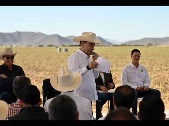 Arranca en Caborca la temporada de cosecha de espárrago 2025-2026