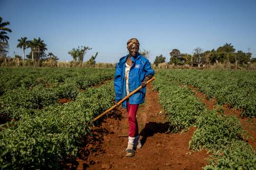 Cuba libra batalla contra desabasto alimentario