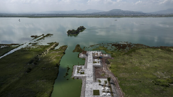 El renacer del Lago de Texcoco atrae a pelícanos y flamencos