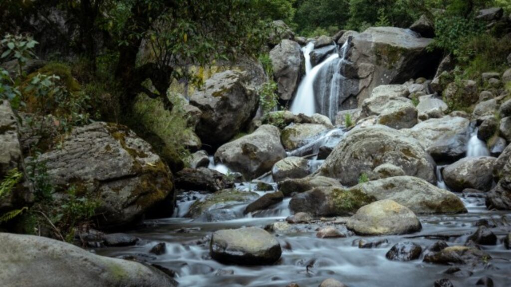 Los Dinamos: la lucha por defender el último río vivo de la ciudad