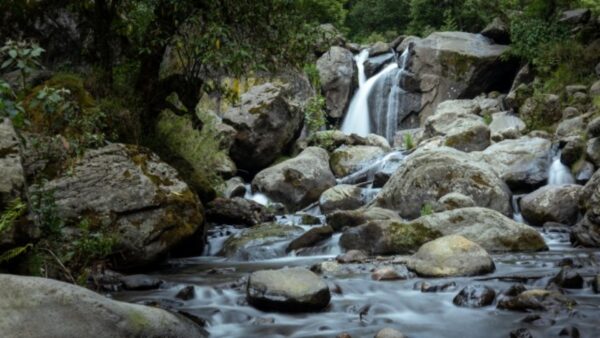 Los Dinamos: la lucha por defender el último río vivo de la ciudad