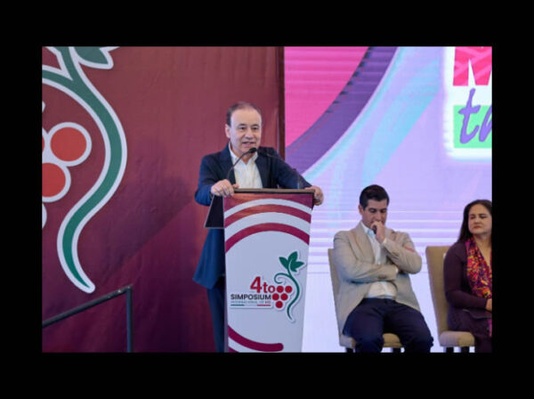 Sonora se consolida como gigante de la uva: producción supera las 335 mil toneladas