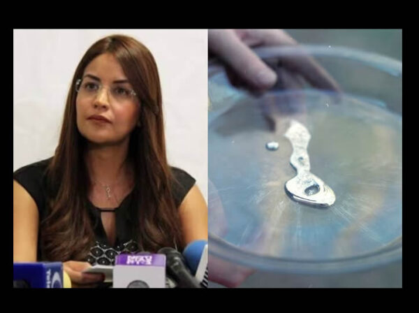 Alejandra Pulido, la panista que ayudaba al CJNG a traficar mercurio