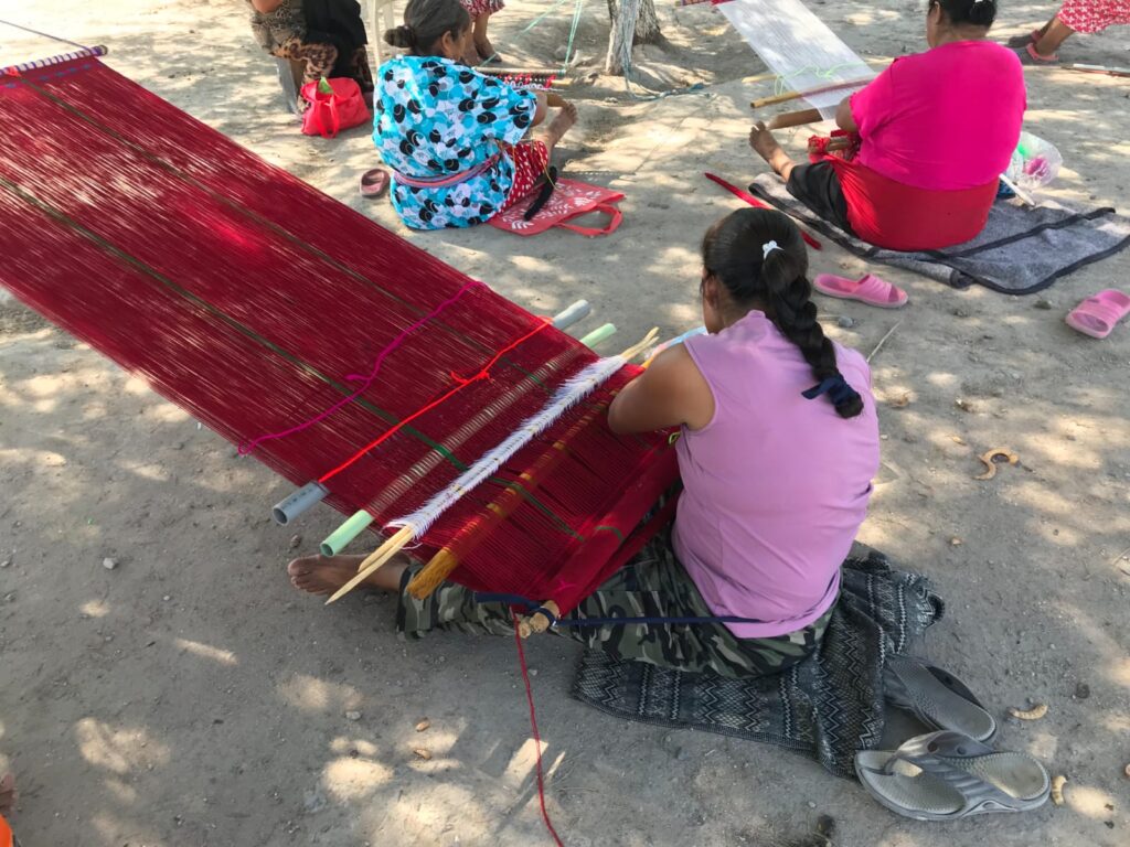 Bibiana lucha por el reconocimiento de los derechos de mujeres indígenas triquis en el Poblado Miguel Alemán