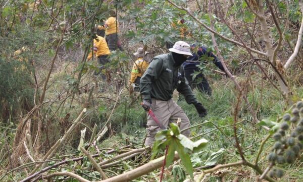 CDMX: localizan ocho fragmentos óseos durante jornada de búsqueda