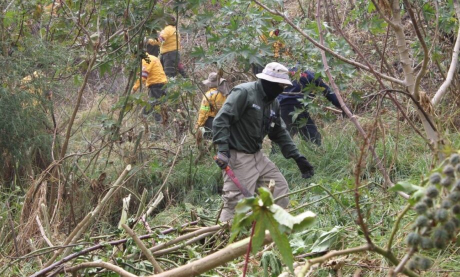 CDMX: localizan ocho fragmentos óseos durante jornada de búsqueda
