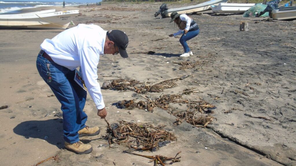 Derrame de chapopote no fue provocado por Pemex: Rocío Nahle