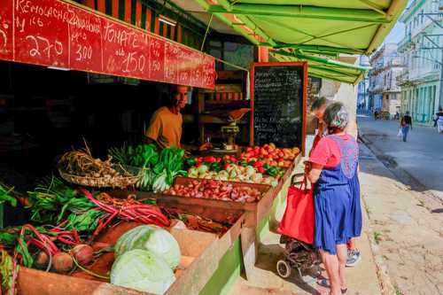 Diputados planean enviar plantas fotoeléctricas a hospitales de la nación caribeña